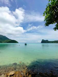 Fotografie z fotogalerie ubytování Dalum Beachhouse v destinaci Phi Phi Don