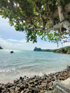 Fotografie z fotogalerie ubytování Dalum Beachhouse v destinaci Phi Phi Don