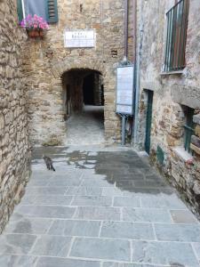 Casina vicino al Vico في Vatolla: وجود قطه جالسه في زقاق في مبنى حجري