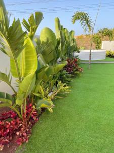 Vonkajšia záhrada v ubytovaní Casa con piscina y jardín con vistas al mar