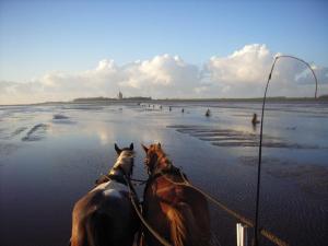 twee paarden op het strand met een hengel bij Kurparkresidenz in Cuxhaven
