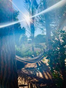 a hammock in a garden with the sun shining at La maison sul mare in San Vito lo Capo