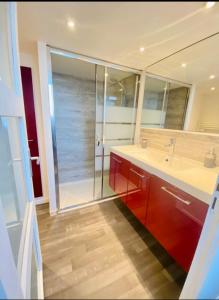 a bathroom with a sink and a shower at T3 en duplex pour 6 pers bien placé terrasse et parking inclus in Toulouse