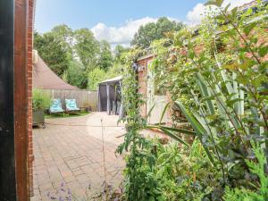 un jardin avec un bâtiment en briques et quelques plantes dans l'établissement Birch Cottage, à Norwich