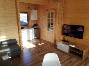 Televízia a/alebo spoločenská miestnosť v ubytovaní Domki Na Stoku Laworty