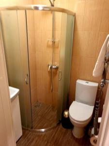 a bathroom with a shower and a toilet at Guest house POILSIS JUMS in Klaipėda +13 photos
