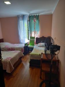 ein Schlafzimmer mit 2 Betten und einem Ventilator in der Unterkunft Guest Houze Nona in Sugdidi
