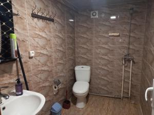 ein Bad mit einem WC und einem Waschbecken in der Unterkunft Guest Houze Nona in Sugdidi