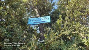 Ein Schild hängt von einem Baum im Wald in der Unterkunft Eco Secluded apartments Zabodarski in Čunski