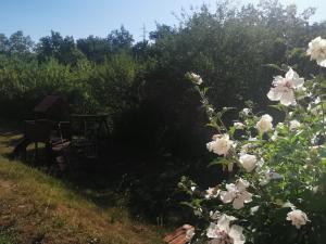 Fotografie z fotogalerie ubytování Holiday Home Mandalena v destinaci Buzet
