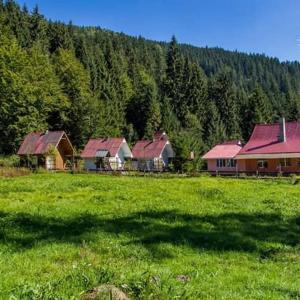 un gruppo di case in un campo alberato di Cabana Valea Stanciului a Răchiţele