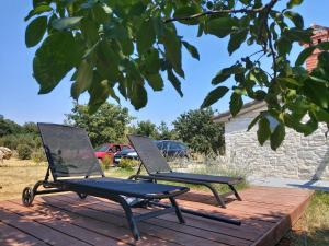 Zahrada ubytování Casa Colone