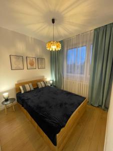 Fotografia z galérie ubytovania Katowice Apartament Spodek Modrzewiowa 24 v Katoviciach
