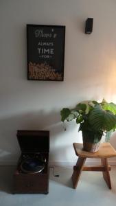 una planta sentada en una mesa junto a una estufa en Sotto La Vigna Charm Stay Adults only vacation Appartement Hayloft en Montegrosso dʼAsti
