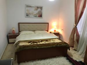 Vila Korchari Dardhe في كورتشي: غرفة نوم بسرير وصورة على الحائط