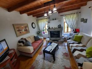 科爾察的住宿－Vila Korchari Dardhe，带沙发和壁炉的客厅