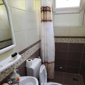 y baño con aseo, lavabo y ducha. en Apartmani Milica Dojran, en Star Dojran