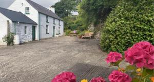 a patio with flowers in front of a house at Glenaan Cottage in Cushendall