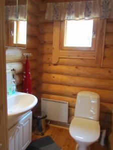 łazienka z toaletą i umywalką w obiekcie Lappalaisen lomamökit Lepola w mieście Puumala