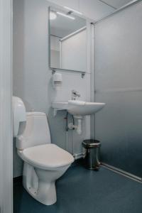 a bathroom with a white toilet and a sink at Wisingsö Hotell in Visingsö