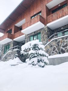 un bâtiment recouvert de neige avec un arbre dans l'établissement Fortuna Cottage Bakuriani, à Bakuriani