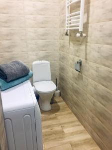 a bathroom with a white toilet at Fortuna Cottage Bakuriani in Bakuriani