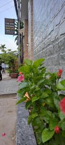 a group of plants next to a brick building at Riverlife Homestay in Hoi An