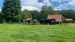Zahrada ubytování Tiny house, pipowagen onder de kastanje + 1 fotografie