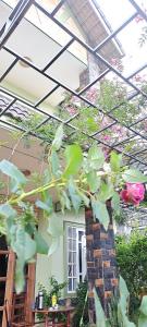 a plant in front of a building with a roof at Dalat Garden Villa in Da Lat