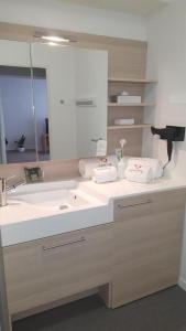 a bathroom with a sink and a mirror at Résidence Séniors Domitys Les Hautes Feuilles in Reims