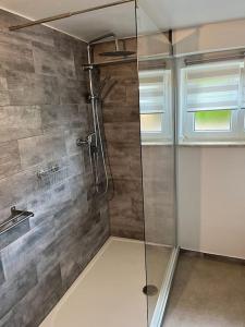 eine Dusche mit Glastür im Bad in der Unterkunft L'appart du RIED in Heidolsheim