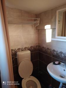 un bagno con un water e un lavandino di Apartman Mickey a Sarajevo