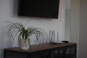 a potted plant sitting on a table under a television at BNB Klinga in Klinga