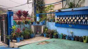 En have udenfor Finteo Skylands