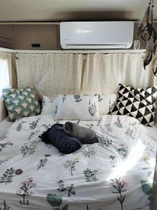 a bed in an rv with a blanket on it at השקדיה - Shkedya in Mitzpe Ramon