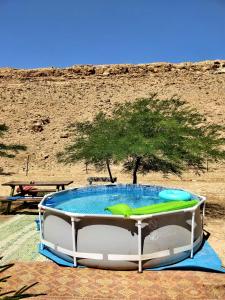 a swimming pool in the middle of a desert with a tree at השקדיה - Shkedya in Mitzpe Ramon