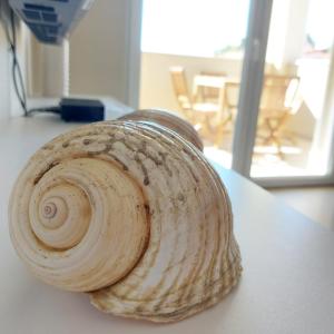 Fotografie z fotogalerie ubytování Seashells Apartments Tribunj v destinaci Tribunj
