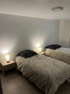 2 Betten in einem Zimmer mit 2 Lampen an Tischen in der Unterkunft L'appart du RIED in Heidolsheim