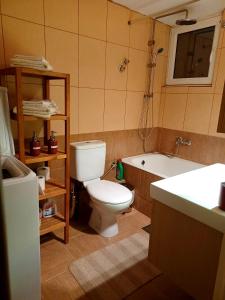La salle de bains est pourvue de toilettes, d'une baignoire et d'un lavabo. dans l'établissement Central Apartment Ioannina, à Ioannina