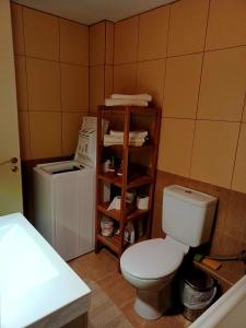 La salle de bains est pourvue de toilettes blanches et d'un lavabo. dans l'établissement Central Apartment Ioannina, à Ioannina