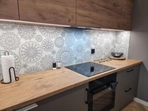 Kuchyň nebo kuchyňský kout v ubytování Apartament Wiślańskie Skije