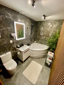 Penzión DOMES في تشادتسا: حمام مع مرحاض وحوض استحمام ومغسلة