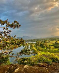 a view of a river from a hill with a tree at Grand freedom in Sigiriya