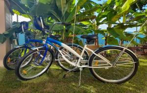 two bikes parked next to each other in the grass at Mcgregor House - Villa by The Bay in Nassau