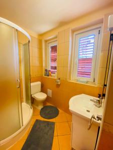 ein Bad mit einer Dusche, einem WC und einem Waschbecken in der Unterkunft Violet Holiday’s House in Siófok