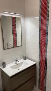 a bathroom with a sink and a mirror and a shower at Tous'o'Zoo, au cœur du centre-ville in Saint-Aignan