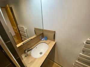 拉克吕萨Appartement 2 pièces ensoleillé avec Wi-Fi et parking, La Clusaz - FR-1-459-76的浴室里有洗手池和镜子 更多8张照片