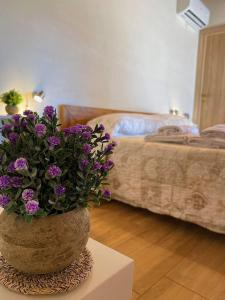 Gallery image of B&B Pelagos in Castellammare del Golfo