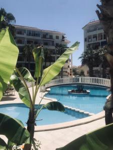 Bazén v ubytovaní Apartment near La Mata beach alebo v jeho blízkosti