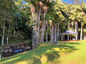 a gazebo in a park with palm trees and a creek at Mt Tamborine Stonehaven Boutique Hotel in Mount Tamborine